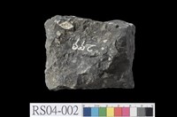 藏品(西氏蜒石灰岩)的圖片